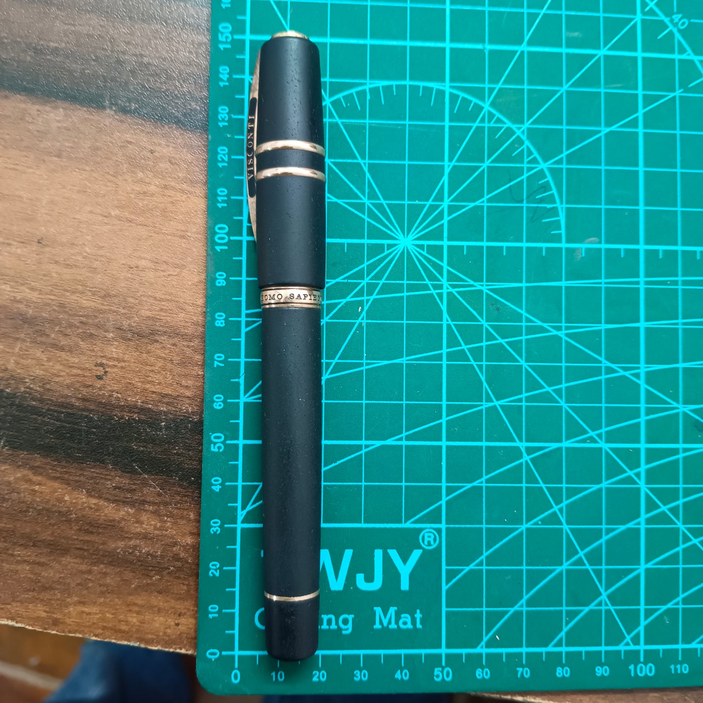 Visconti Homo Sapiens Fountain Pen Bronze Age