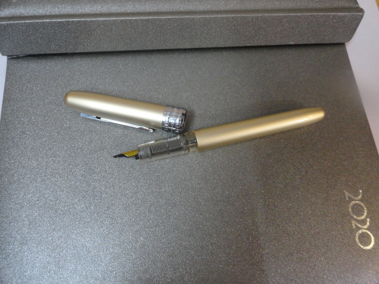 Platinum Plaisir Fountain Pen Japan