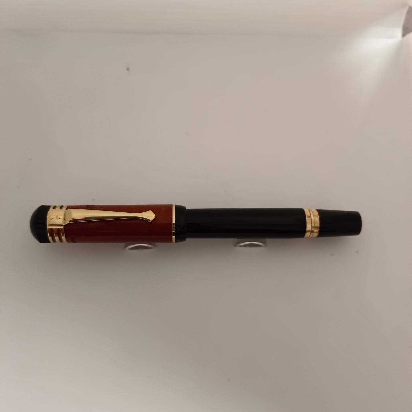 Montblanc Writers Edition Friedrich Schiller Fountain Pen