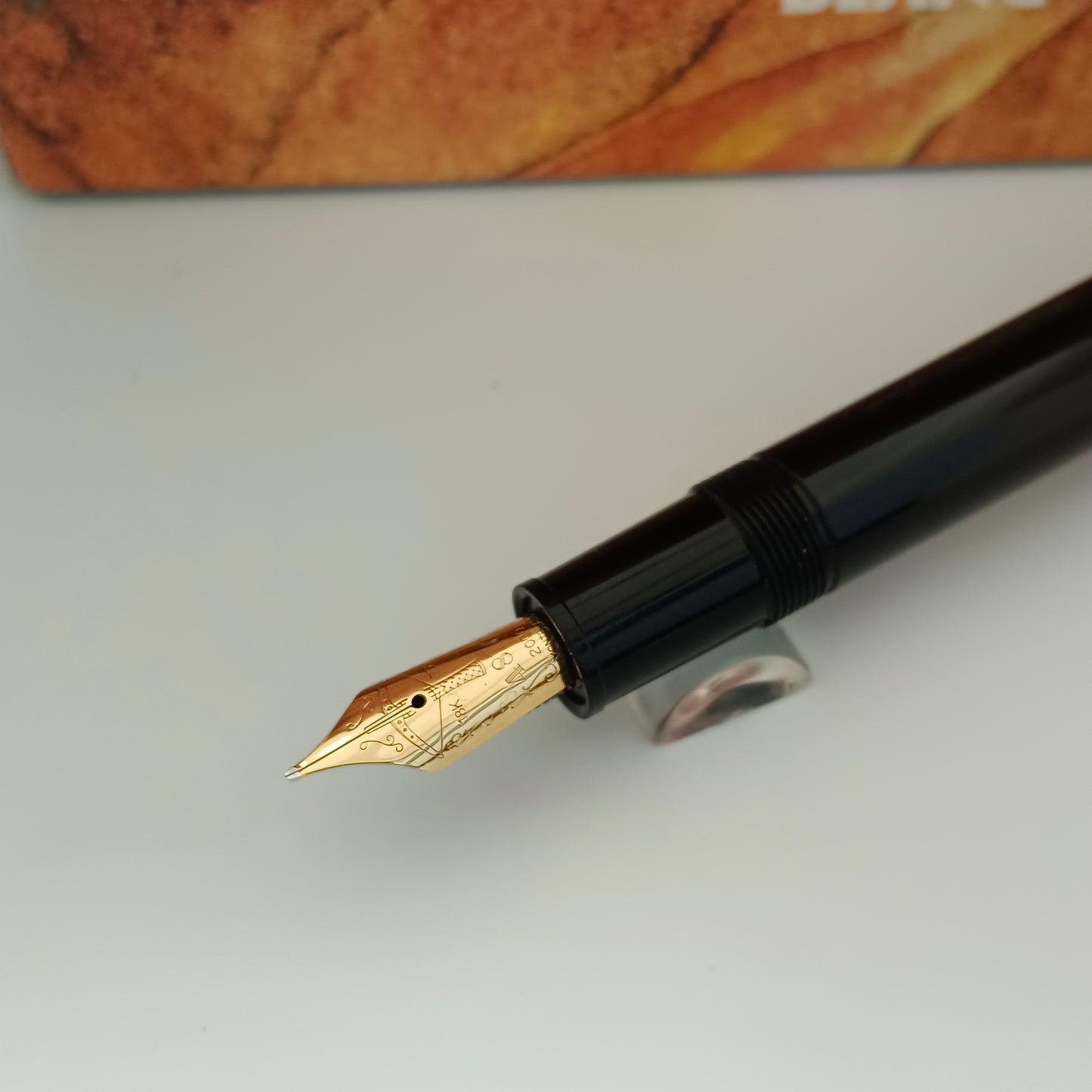 Montblanc Writers Edition Friedrich Schiller Fountain Pen
