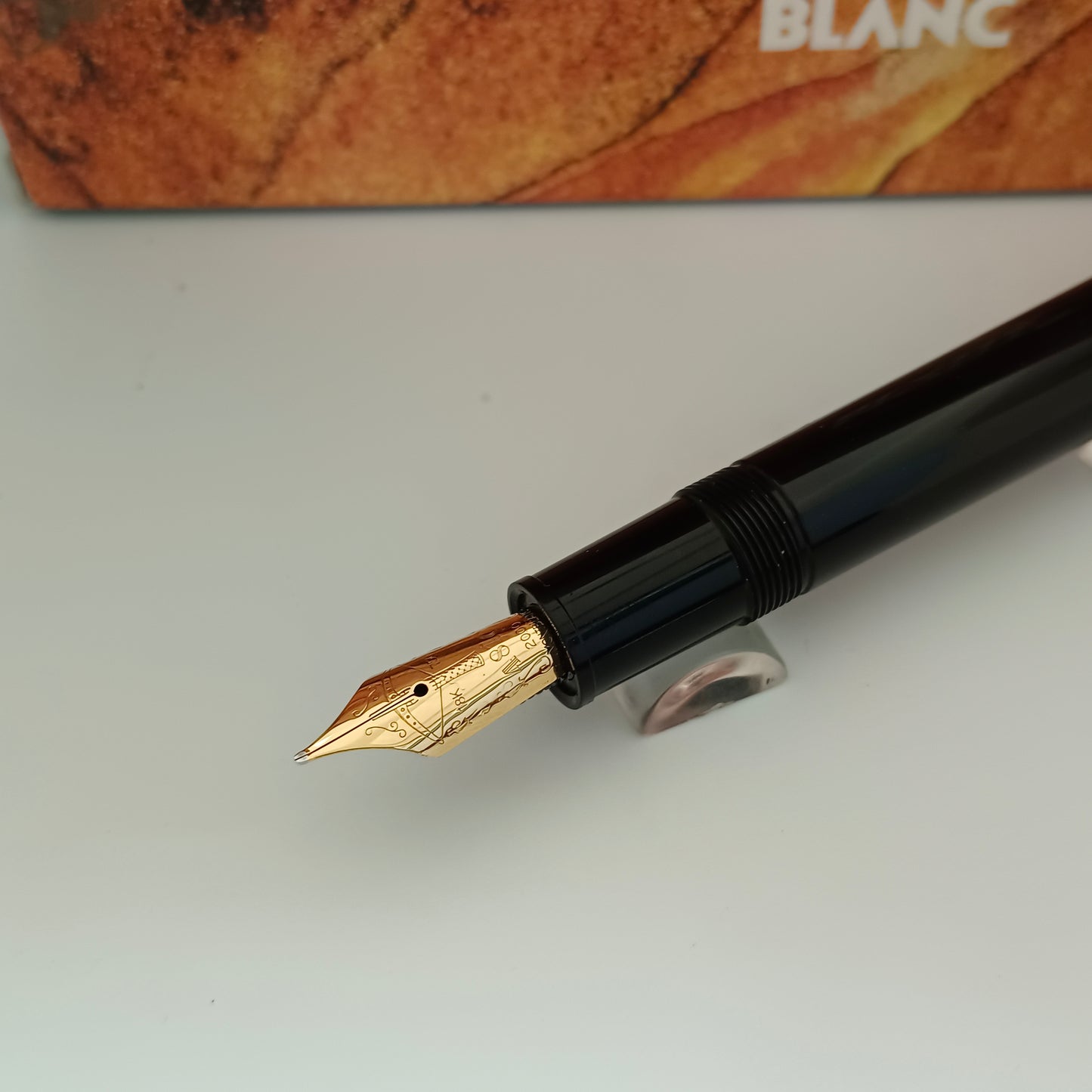 Montblanc Writers Edition Friedrich Schiller Fountain Pen
