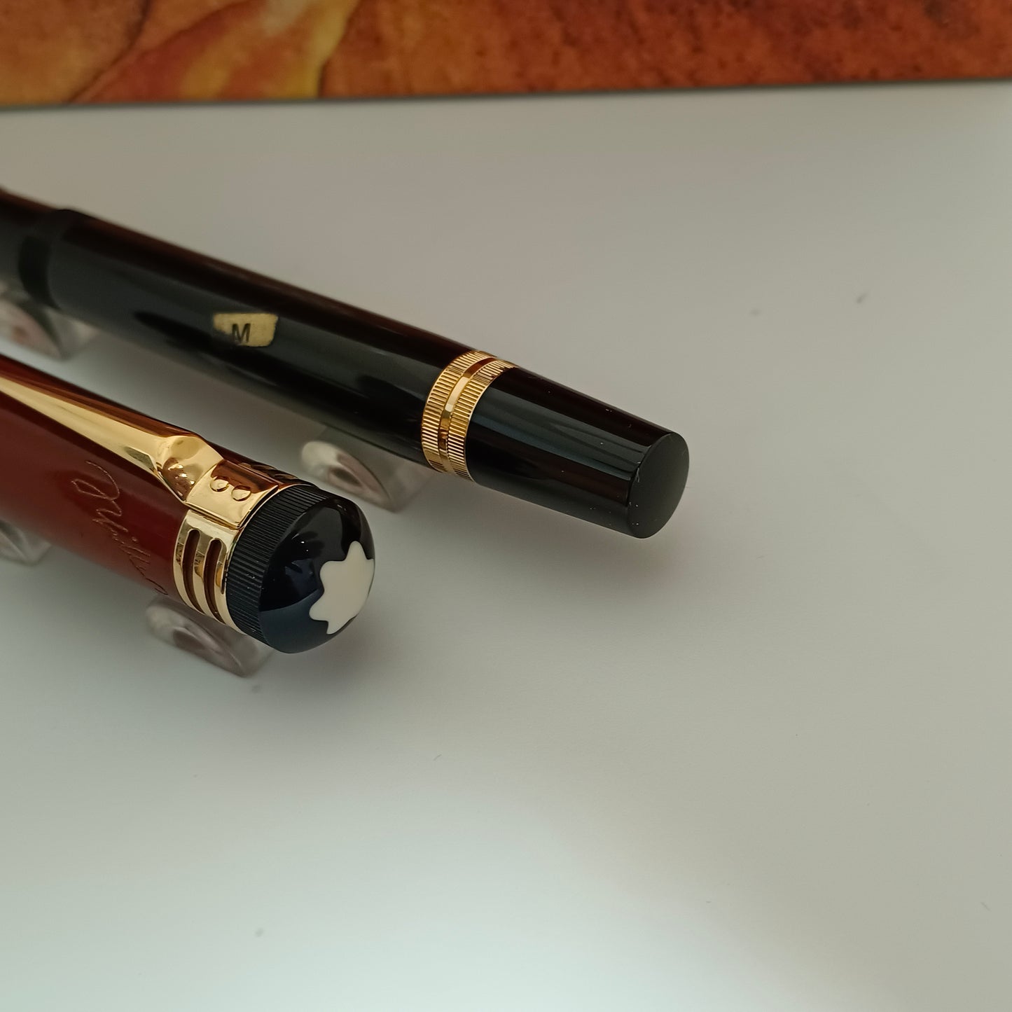 Montblanc Writers Edition Friedrich Schiller Fountain Pen
