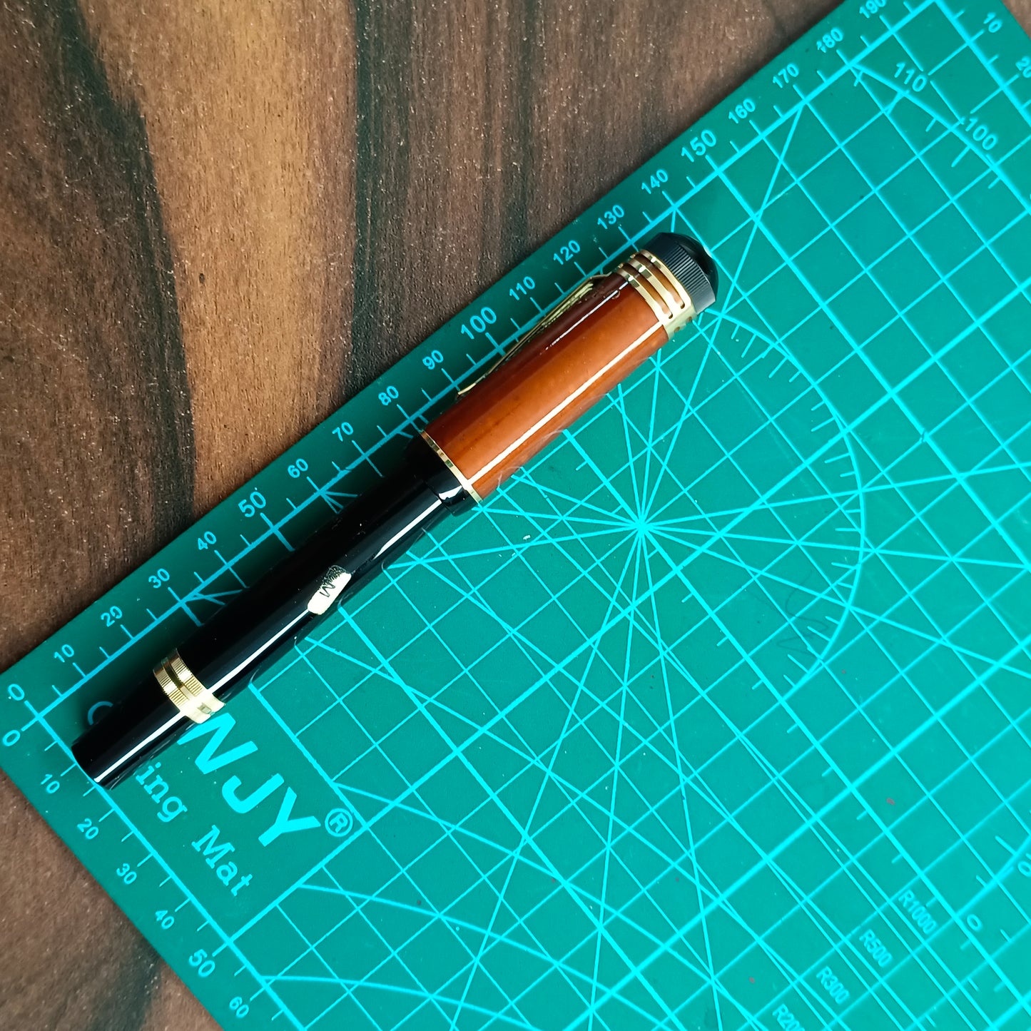 Montblanc Writers Edition Friedrich Schiller Fountain Pen