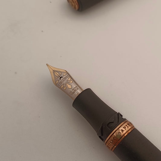 Visconti Homo Sapiens Fountain Pen Bronze Age