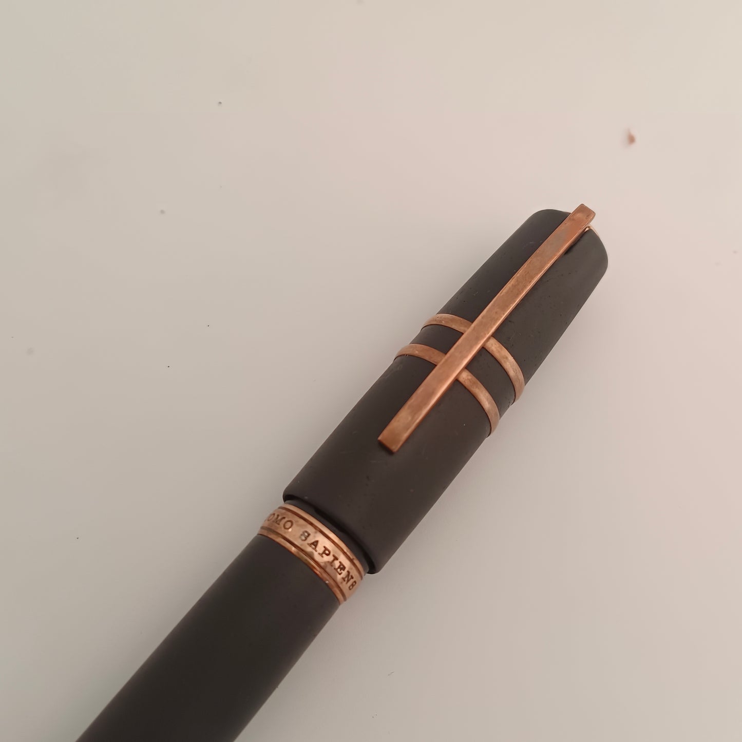 Visconti Homo Sapiens Fountain Pen Bronze Age
