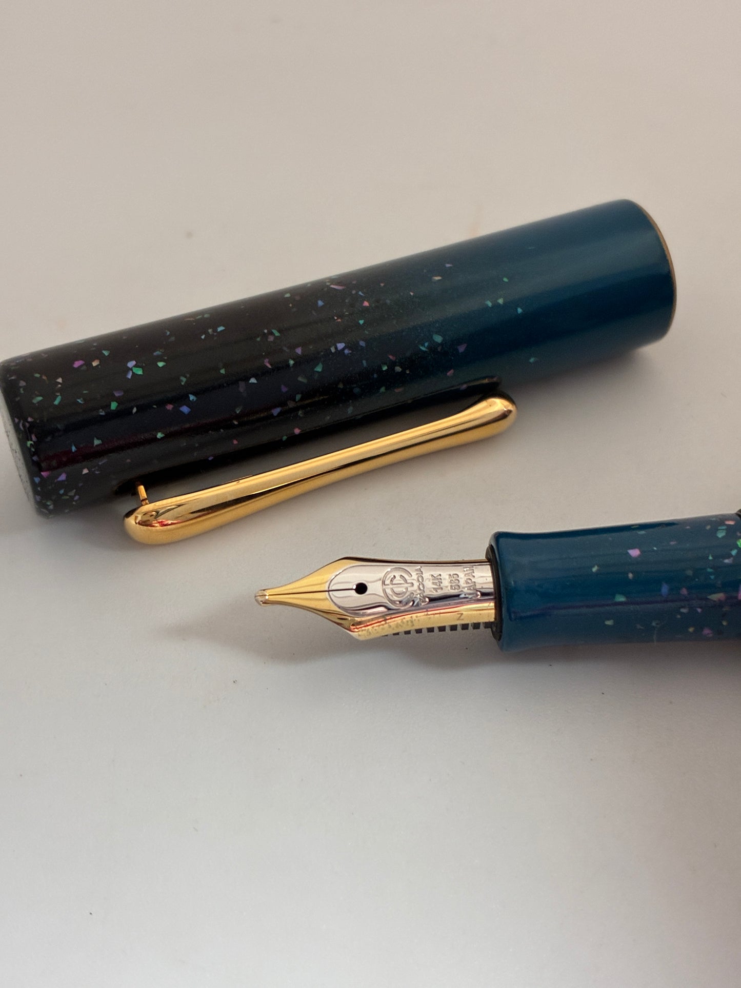 Taccia Hyakko- Hisho II Hoshi-kage Fountain Pen
